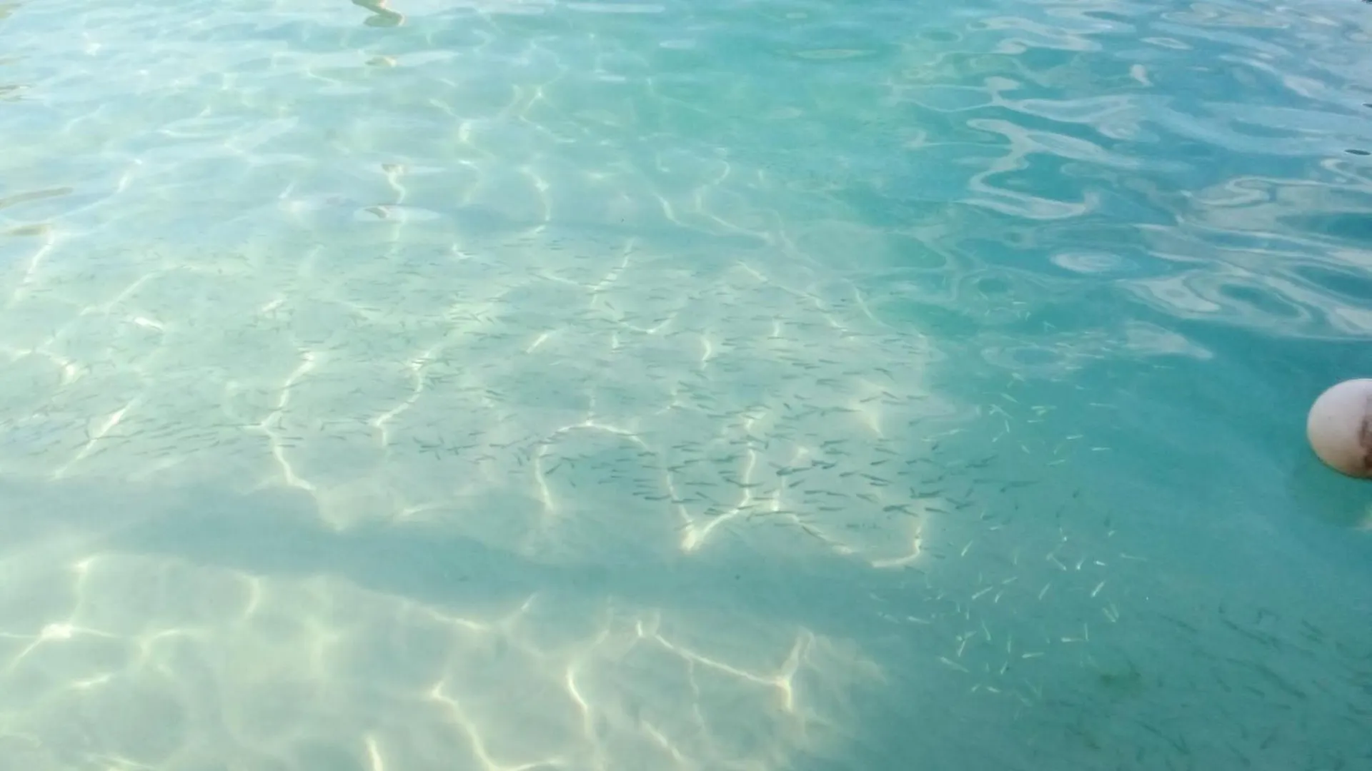 Hidden Island Glamping Isla Mujeres Hotel Mexico